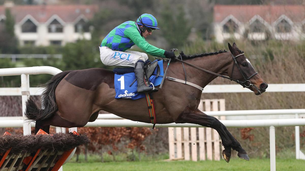 Supreme Hurdle favourite Appreciate It 